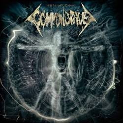 Common Grave (GER) : Embedded Coding